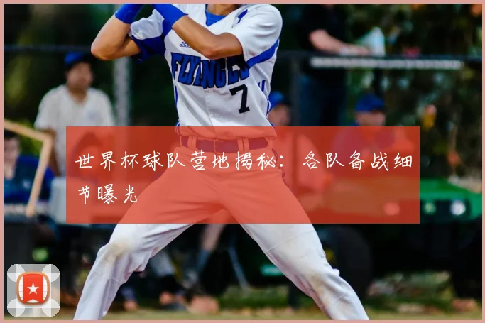 世界杯球队营地揭秘：各队备战细节曝光