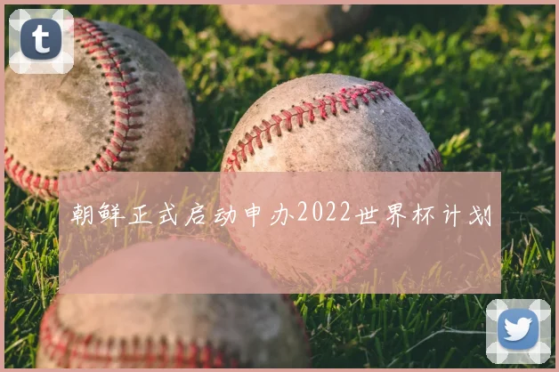 朝鲜正式启动申办2022世界杯计划